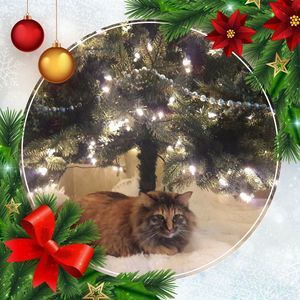 Meet your Posher, Virginia