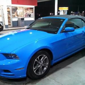 Meet your Posher, Sue