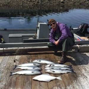 Meet your Posher, Sam