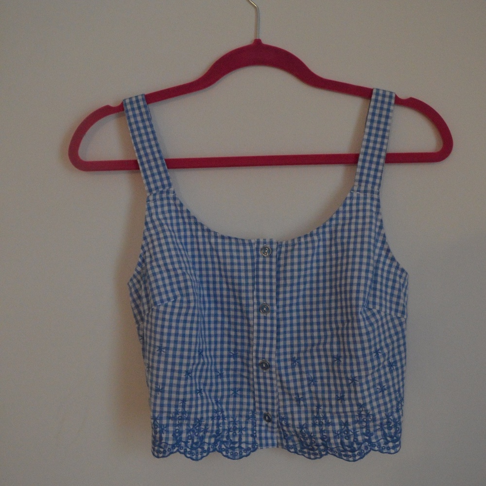 Vintage embroidered gingham crop top