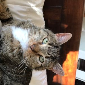 Meet your Posher, Sylvia