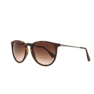 Ray Ban Classic Erika Sunglasses in Brown