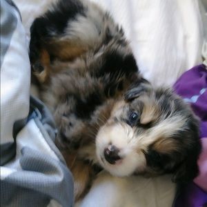 Meet your Posher, Stephen