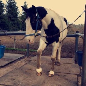 Meet your Posher, Skylar