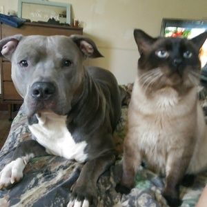 Meet your Posher, Tiffaney