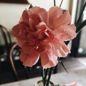 Meet your Posher, Lena