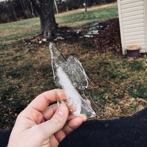 Meet your Posher, Nathan