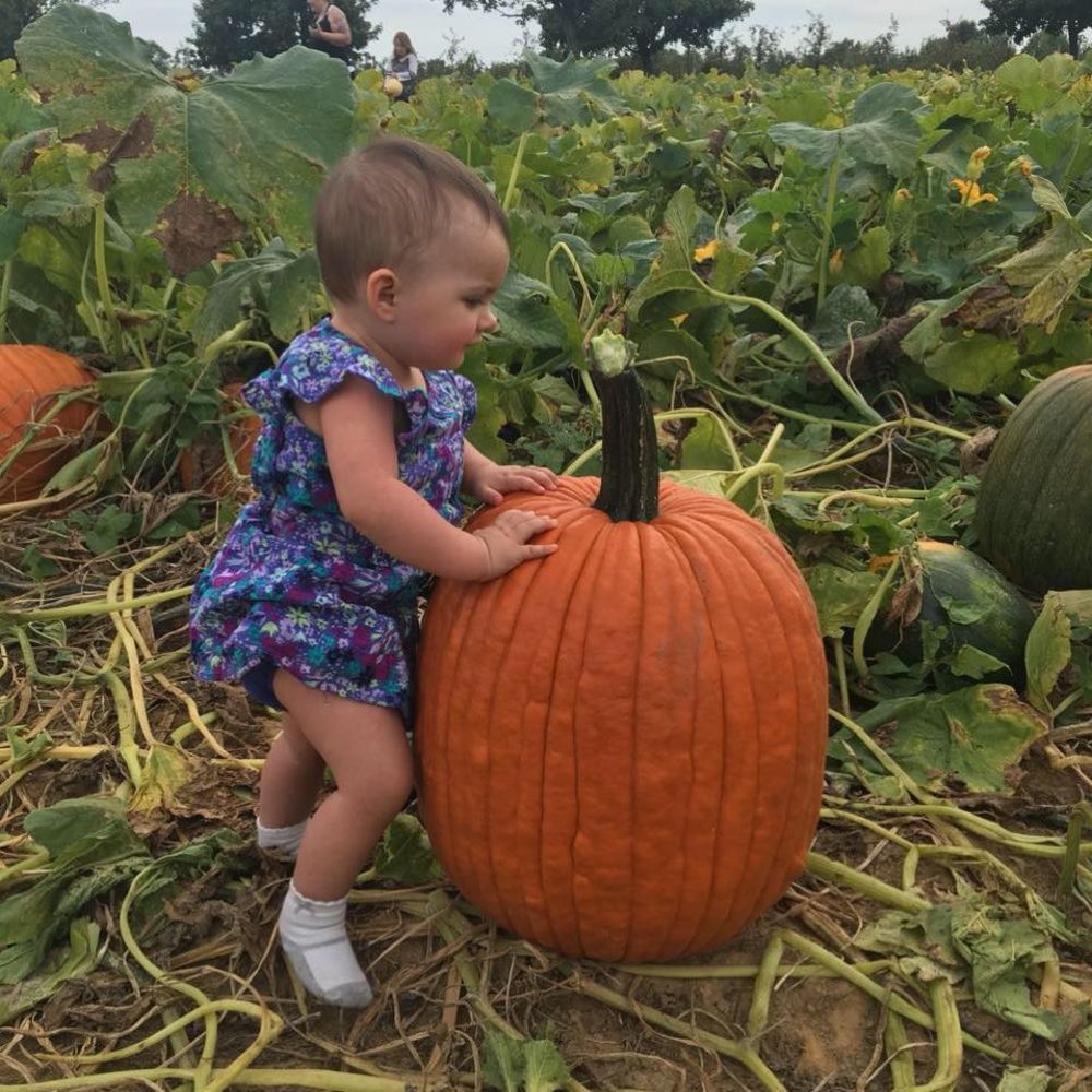 Meet your Posher, Sarah