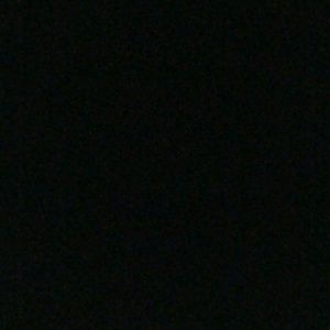 Meet your Posher, Brady