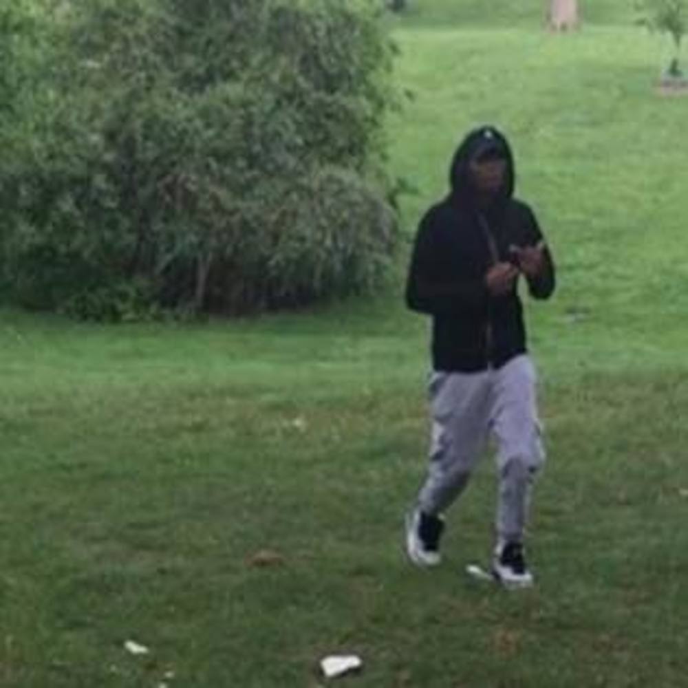 Meet your Posher, Dave