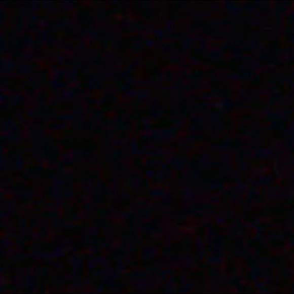 Meet your Posher, Ricky - Picture 1 of 1