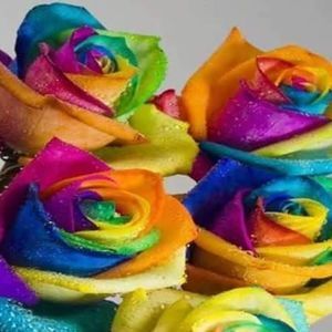 Meet your Posher, Alice