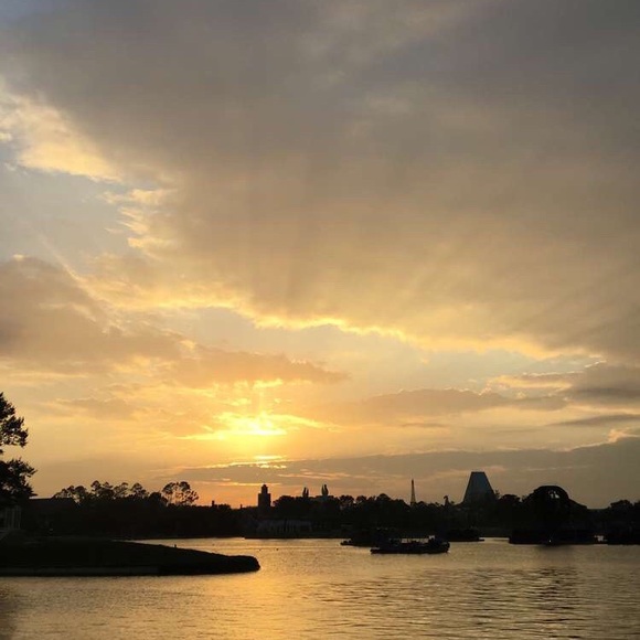 Meet your Posher, Amelia - Picture 1 of 1