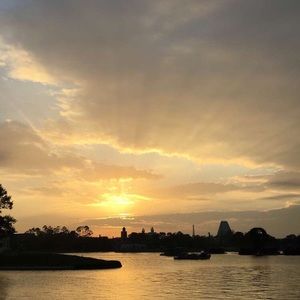 Meet your Posher, Amelia