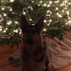 Meet your Posher, Denise