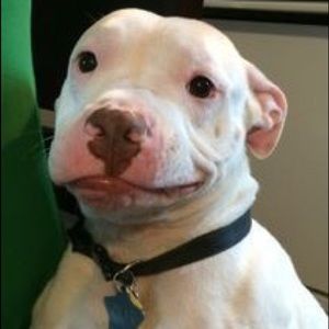 Meet your Posher, Autumn