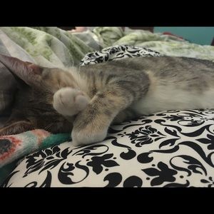 Meet your Posher, April