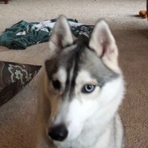 Meet your Posher, Kristina