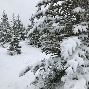 Meet your Posher, Alec