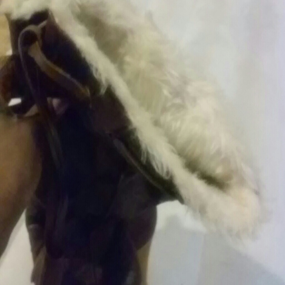 Shoes - Picture 2 of 3