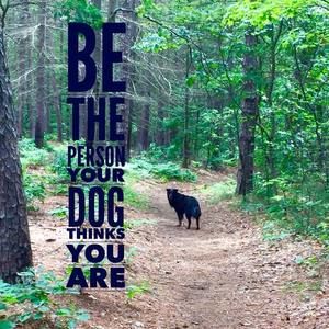 Meet your Posher, Pamela