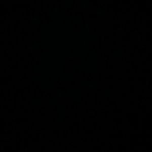 Meet your Posher, Devon