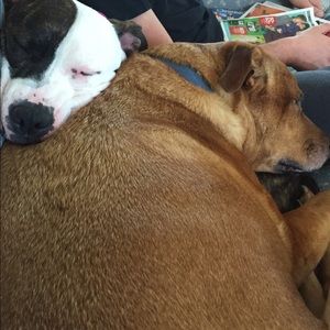 Meet your Posher, Debbie