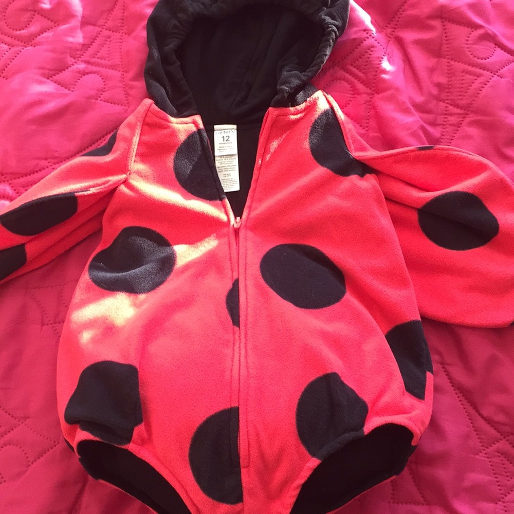 Ladybug Halloween costume 🎃