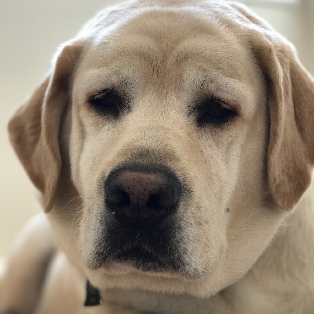 Meet your Posher, Jackie