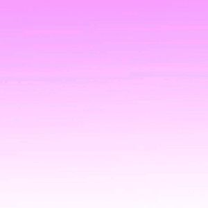 Meet your Posher, Catalina