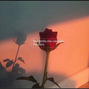 Meet your Posher, Mayra