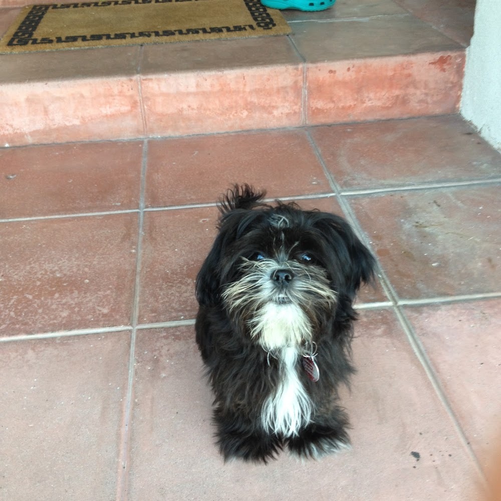 Meet your Posher, Addie