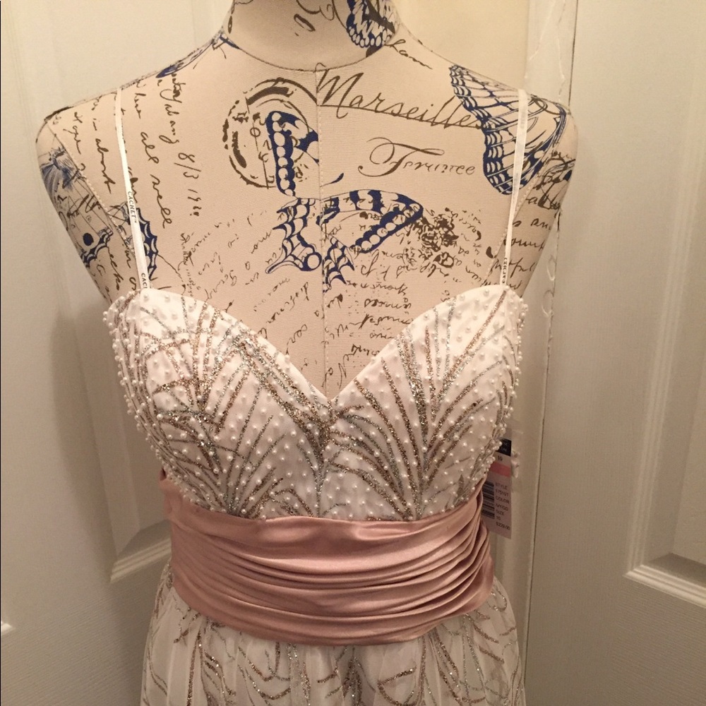 Beautiful Gown - Picture 4 of 7