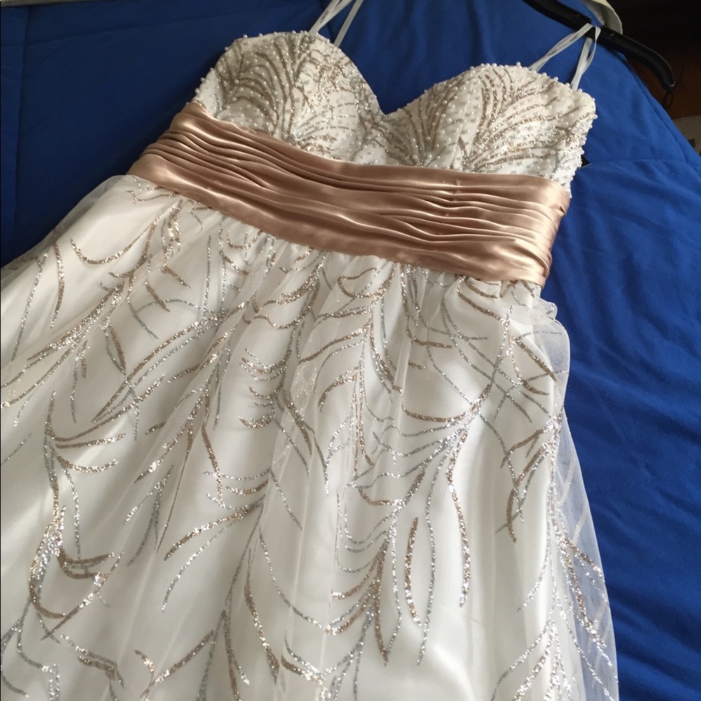 Beautiful Gown - Picture 7 of 7