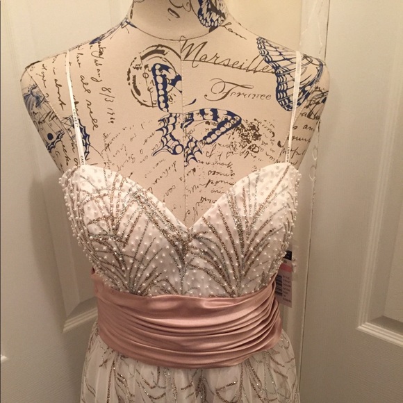 Beautiful Gown - Picture 4 of 7