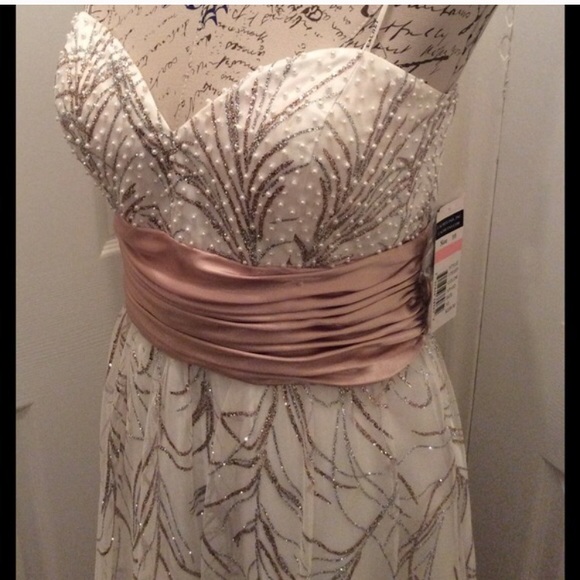 Beautiful Gown - Picture 6 of 7