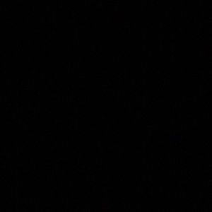 Meet your Posher, Freddy