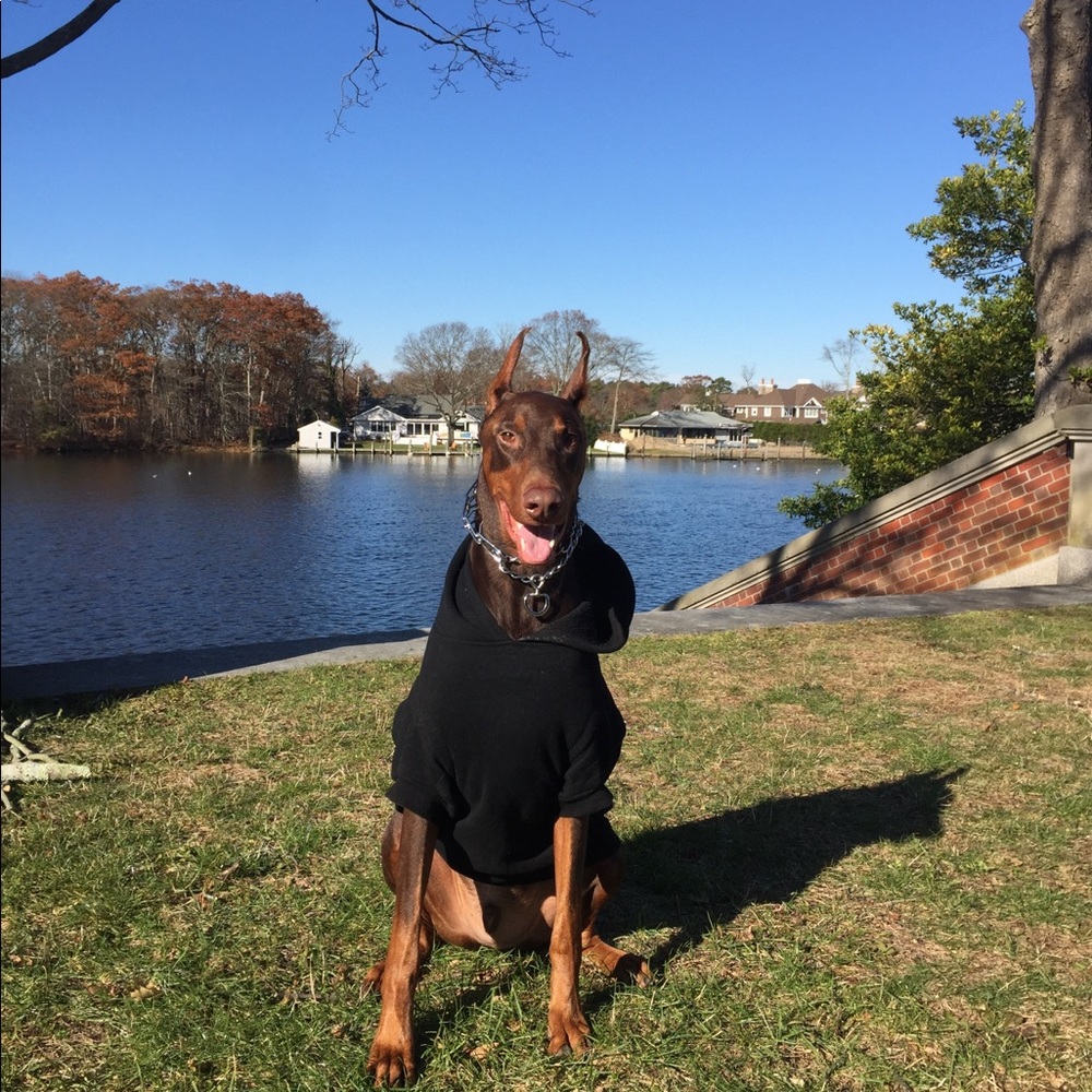 Meet your Posher, Lynn