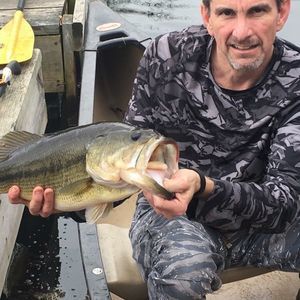 Meet your Posher, Jeff