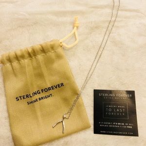 Sterling Forever Wishbone Necklace