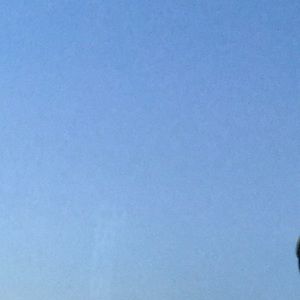 Meet your Posher, Tony