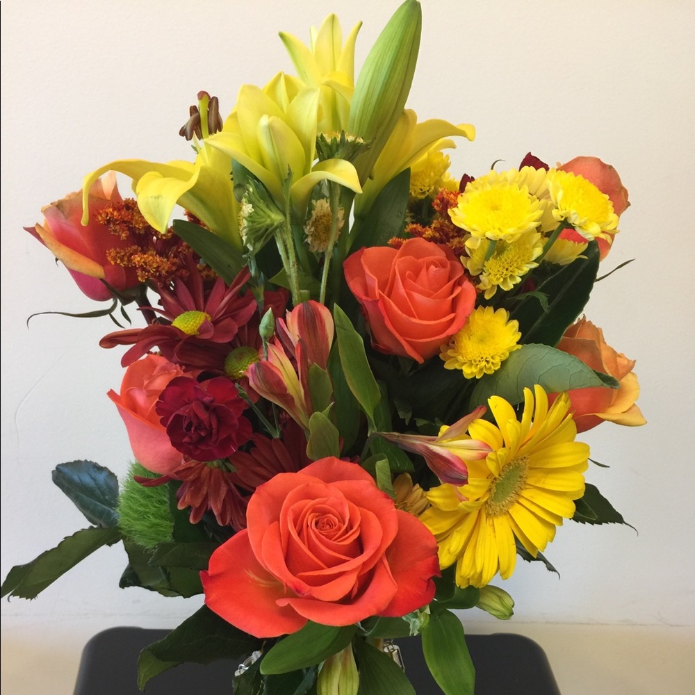 Meet your Posher, Eleanor