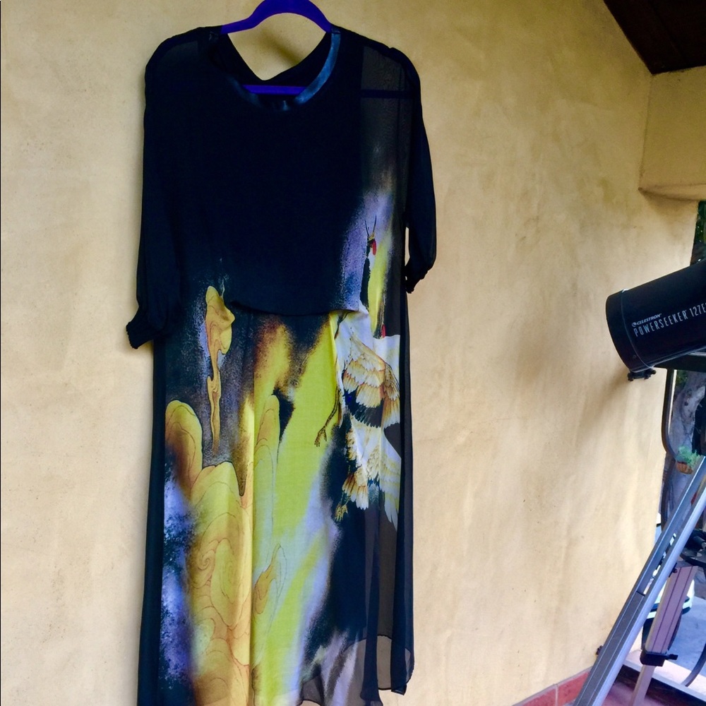 Silk Chiffon dress with Asian drawings. Brand new.
