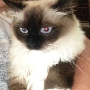 Meet your Posher, Christi