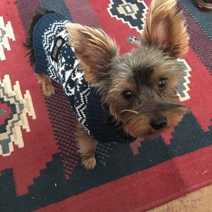 Meet your Posher, Tina