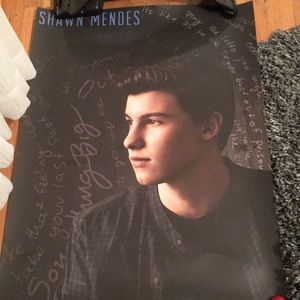shawn mendes poster and guitar pick