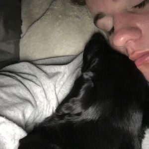 Meet your Posher, Sam