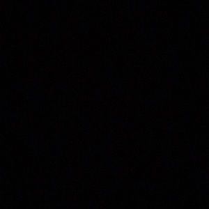 Meet your Posher, Brayden