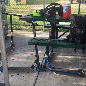 Meet your Posher, Joey