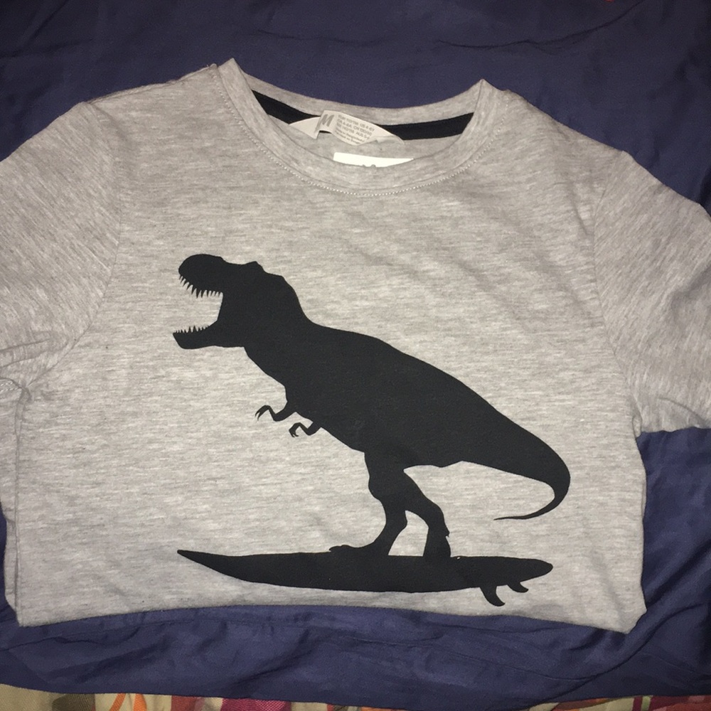 Shirt sleeved boys shirt